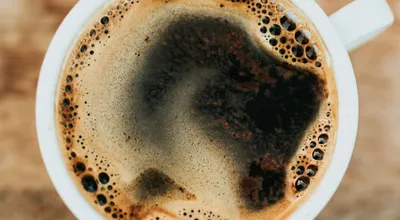 コーヒー品種完全ガイド
